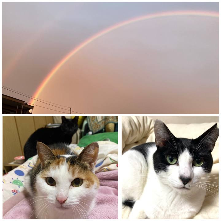 835223ac 131d 4977 8be1 f7db9156a98c 1615625767518