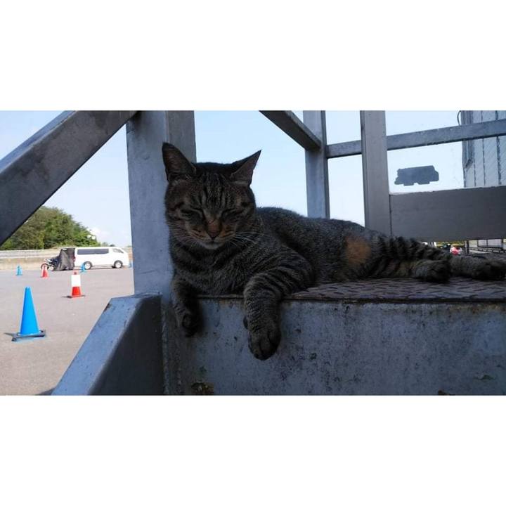 8352275c bb41 4382 b032 7fc0dd894049 1630055403684