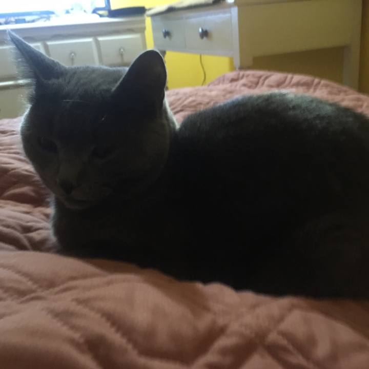 83525844 498c 47e8 ac79 e627a1952257 1633134827665