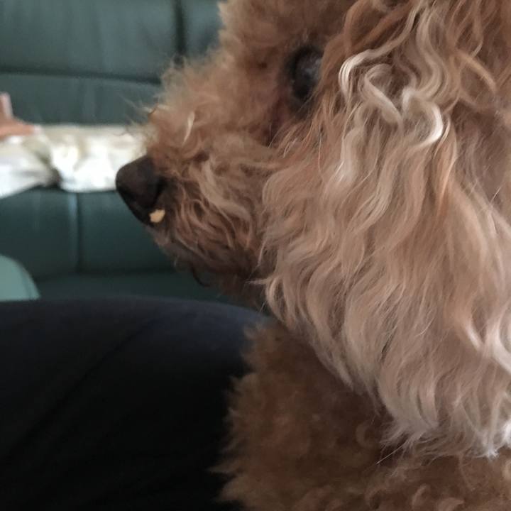 83525908 83cc 499c a10b 74f9875bcf3c 1515565222291