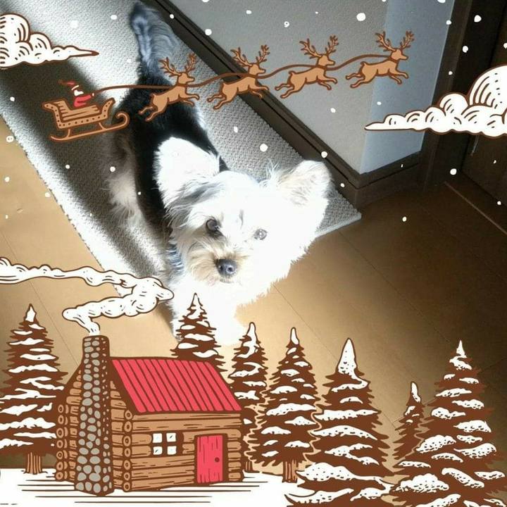 83526cd0 7a79 4b64 a00c af852d9c8c57 1545713231328