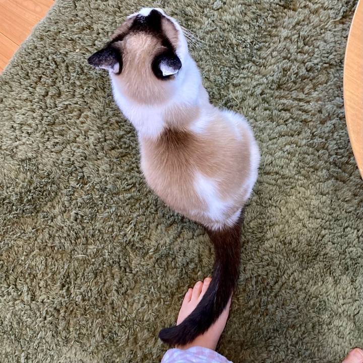 8352a32b 41cb 45e4 84a6 140cd1f9edaf 1651909023548