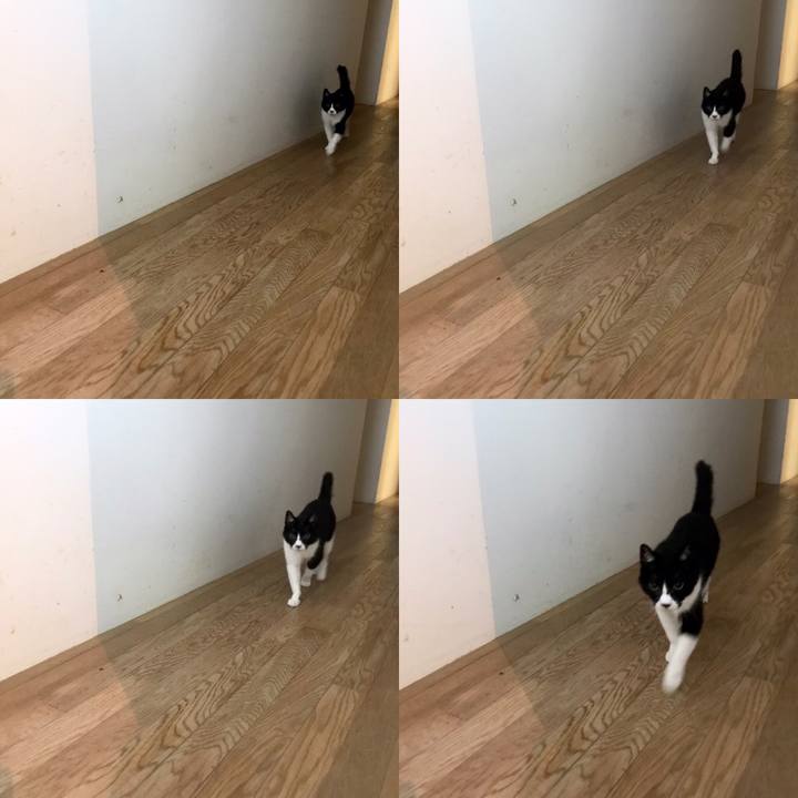 8352add2 e62e 4f93 a69c ae09a6a81ec7 1558917702703