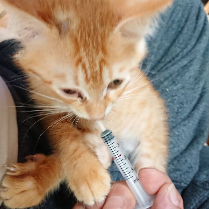 8352c3ea 52ea 4f5e 94bf 6cd4487c9274 1629322636911