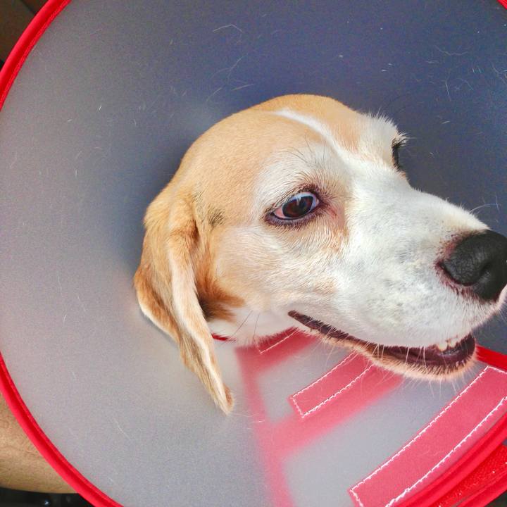 8352eb41 5473 4757 af2d 34cab13a363e 1752706529788