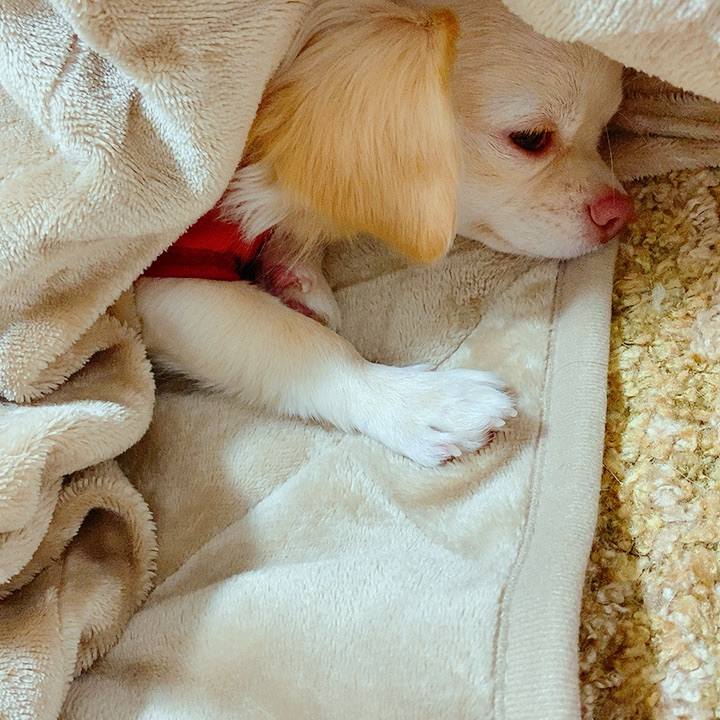 835319dd 0360 4f37 b0d4 d702e0cb385d 1607682080619