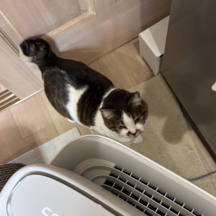 83536680 18cc 4863 a104 7fc1eaab8cfa 1773378469882