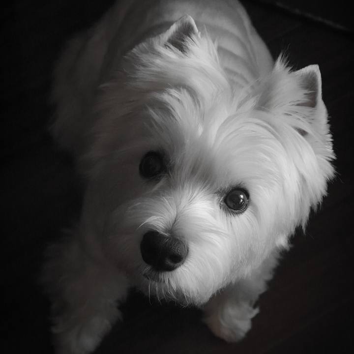 83536d42 3465 4626 abdd 511ab5506805 1533902148275