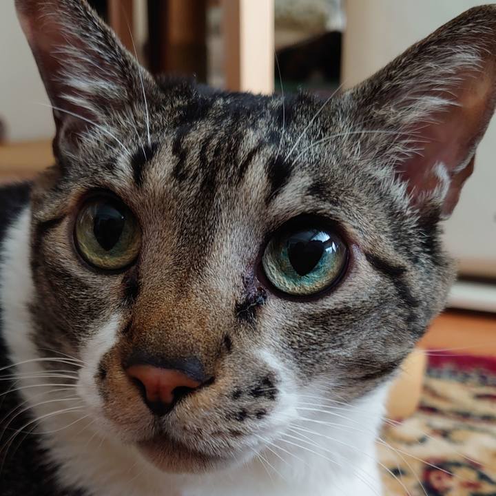 8353a59b c39c 452a b8af 900118853a24 1644024620724