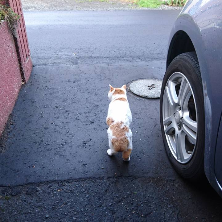 8353bad0 6def 4d64 a3f7 a80afa8a39f7 1566598465616