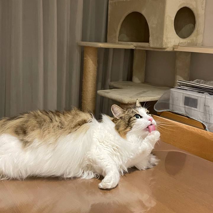 8353da98 c2f3 407b 8f07 1838c330fa65 1659709106740