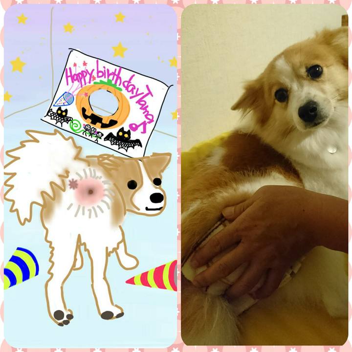 8353df60 c9f7 4ba8 814b 49800dc0a04f 1603800366793