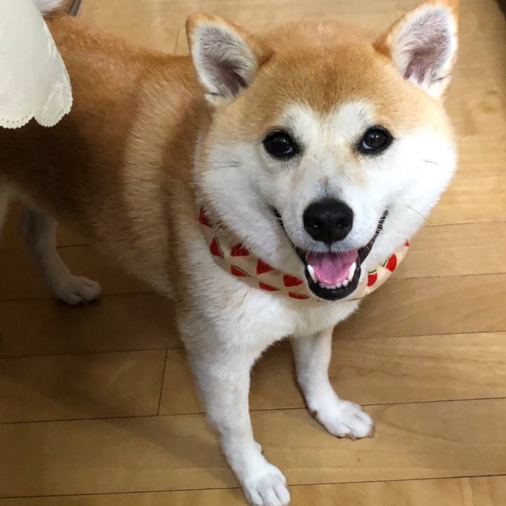 8353ef5d c199 409d a2f2 d97364cad353 1565129451309