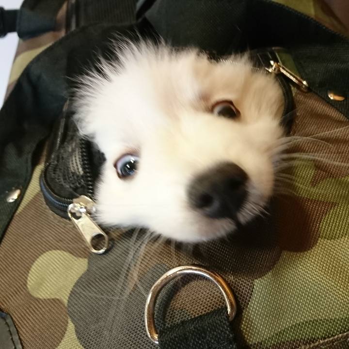 8354115b cd94 4540 b1cb b60926875f15 1546846701408