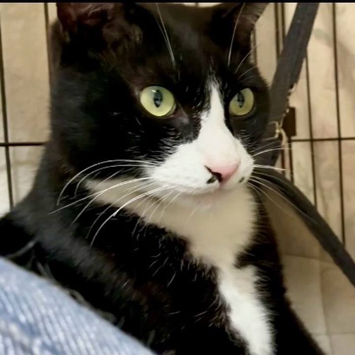 835417ef ba80 42e0 89df b6550cc6e08b 1748597936279