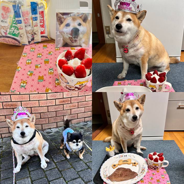 83545d76 a8c3 414a 91ab 3b8985265819 1731316704674