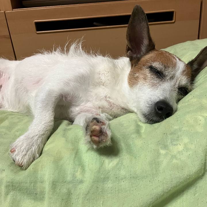 835471c0 4b60 4fba a751 3c86f35df769 1664493602885