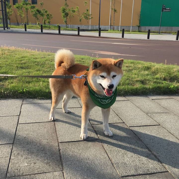 8354ba9f 76d6 47db b6e4 d805f502bc5a 1558258085964