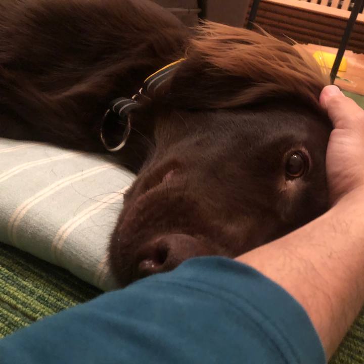 8354c3cd dc53 4174 a991 c6119383d2ee 1580814997117