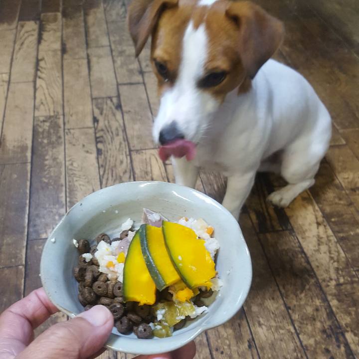 8354cb53 89cc 4d8b 8cbf d2607279db58 1577011120645