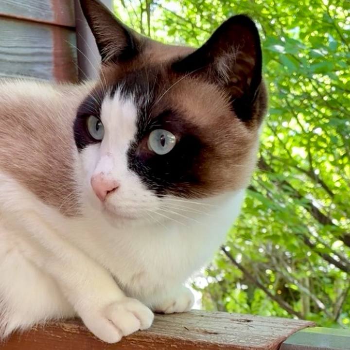 8354f4b2 8163 4845 9ab5 05c137b7e1b3 1747190158852