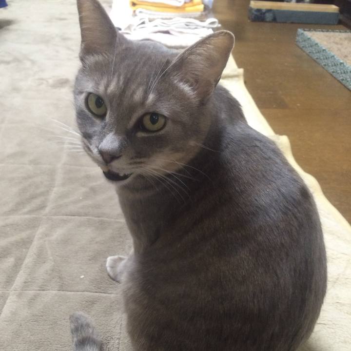 8354f7eb 6e21 4139 b673 d0982790f392 1515761229646