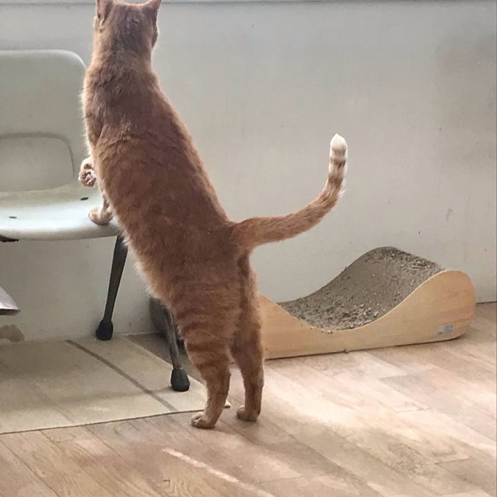 83552bd1 8aa8 4393 a63a d00240e7df90 1632958877674