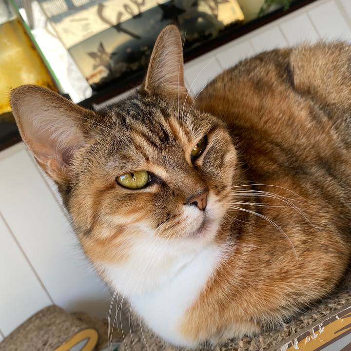 8355400d fe58 4b07 a3b6 6bf2772d1908 1644198918118