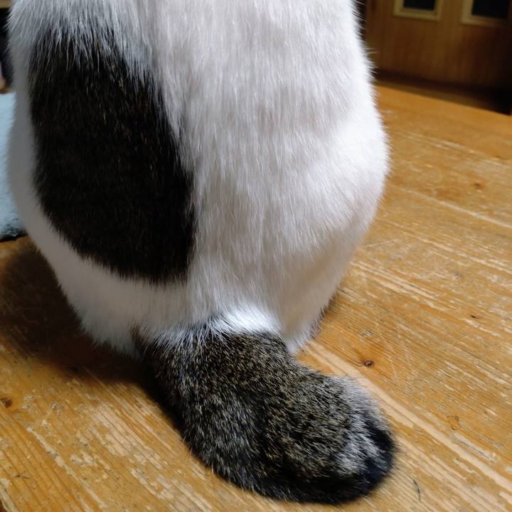 8355af36 7211 41e8 a6ac a185149aad68 1681911863165