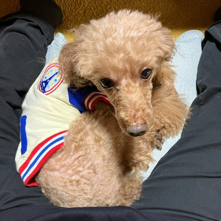 8355e85e f891 45fc 90e2 6121949ca0db 1668762342321