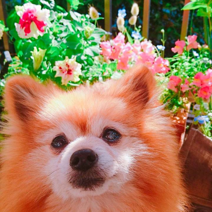 835634da ab90 4d9e 98f3 9ae32c097827 1590191520499