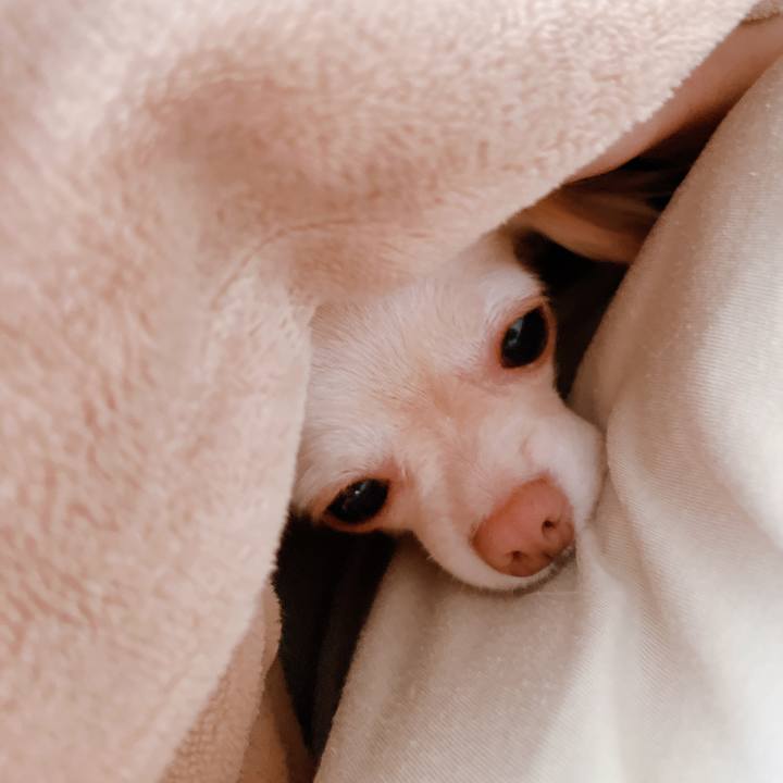 83563bf5 ae38 4826 b40d 348f962cb0a3 1660546549670