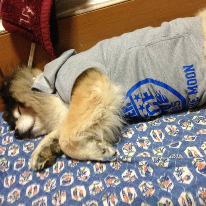 835640d8 f1a4 4896 bddd 6ee4f51132ec 1552025538383