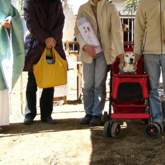 835673a3 9689 492c b8c3 f6c812272279 1679532868530