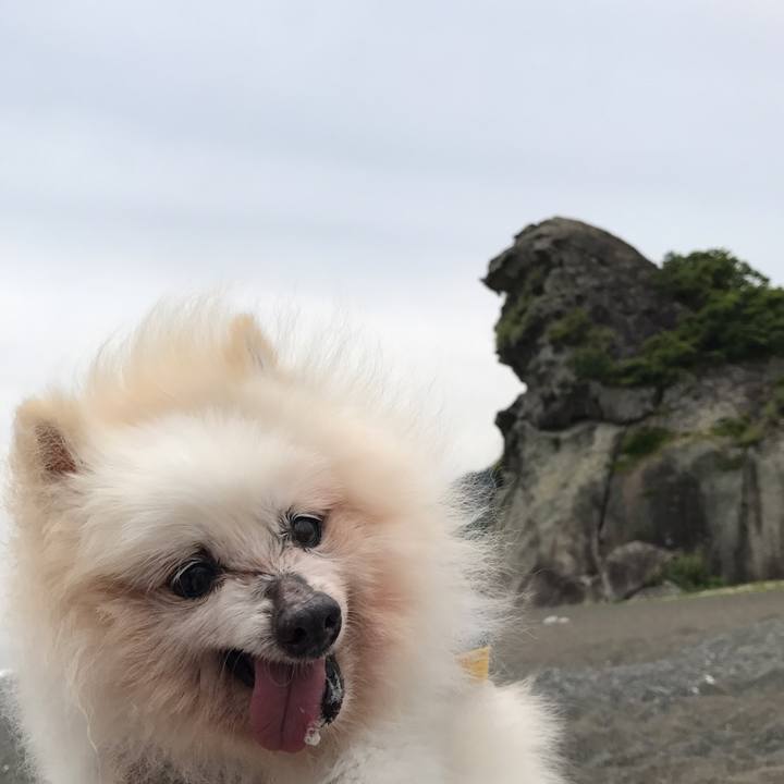 83568c0a 3356 42ee 8ff6 a119bf8bf792 1525693498092