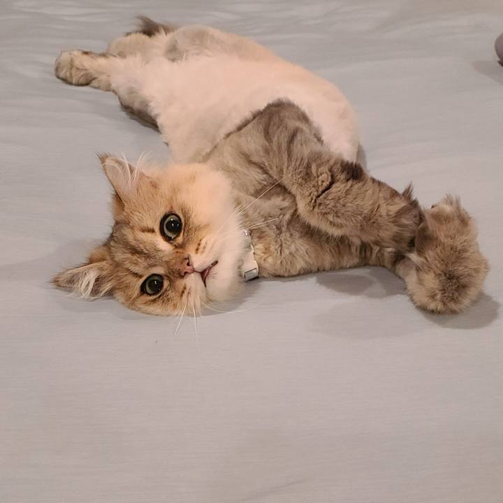 8356a04d f6f5 4dea 9055 b32efa84ca86 1625699261665