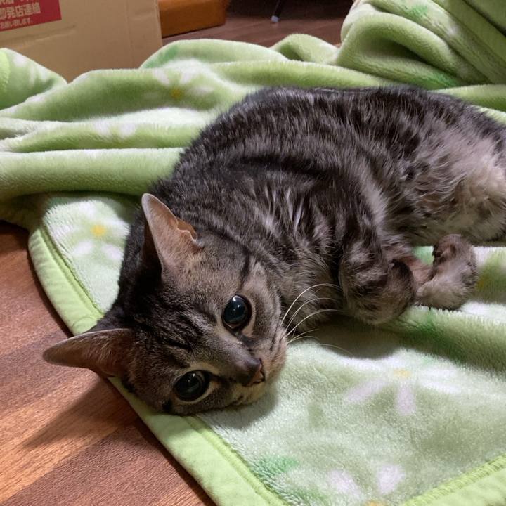 83570ca2 6214 43e6 8614 18b8a0df976d 1682339894917