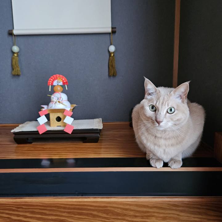 835715d6 7db8 435d 8717 88b543d8ec0d 1767250230093