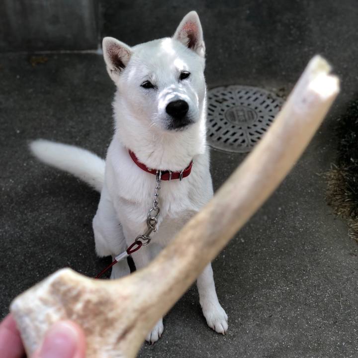 835719f3 be5f 4bfa b92c c4f57d9b0bf7 1523319927362