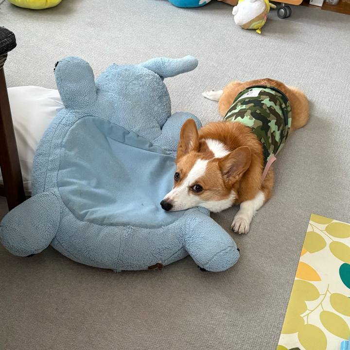 835732e9 804a 495a 8722 fd1cdd54cd9c 1771303159367