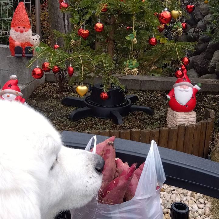 8357adef b1b2 4c4c 860a 84bafd99a75b 1671262554625