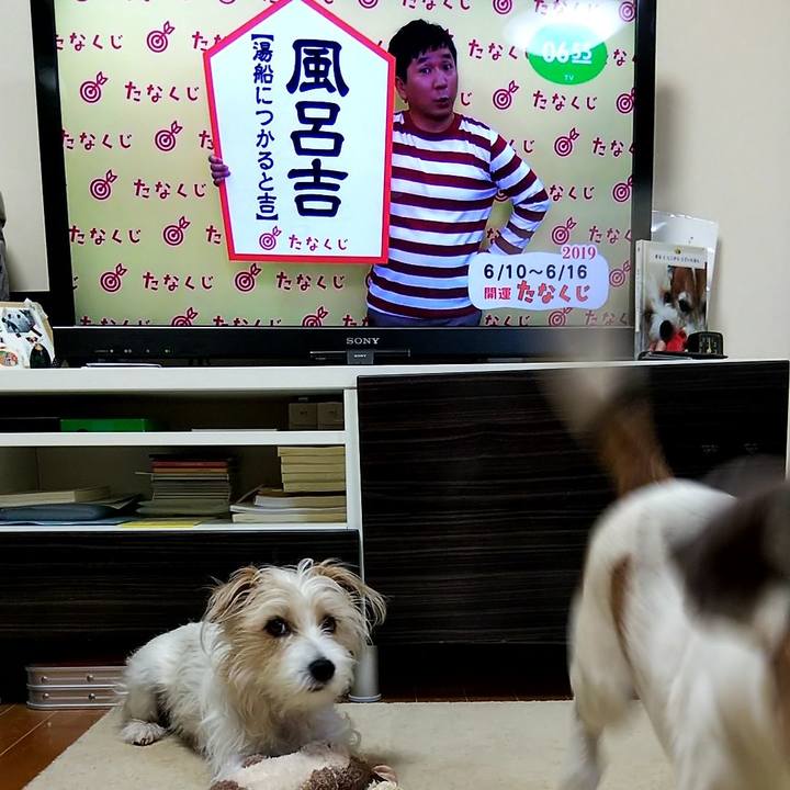 8357b3fc 3eba 40a6 8e44 7d61b66a20c3 1560118579300