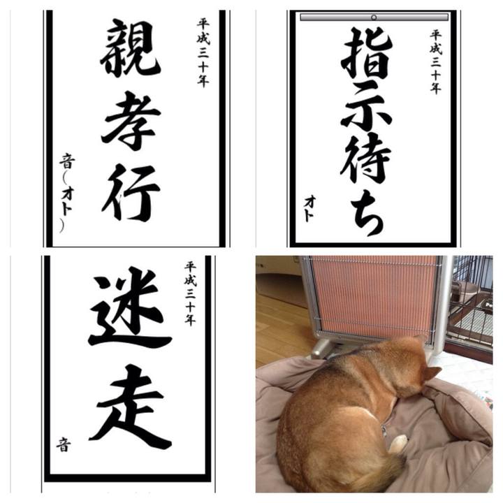 8357d465 8734 49e7 b75b e3c751ed83ac 1515110087261