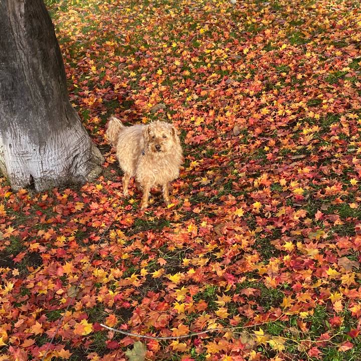 8357ea8b 4f92 4357 bb41 9c7f6110f665 1636061628441