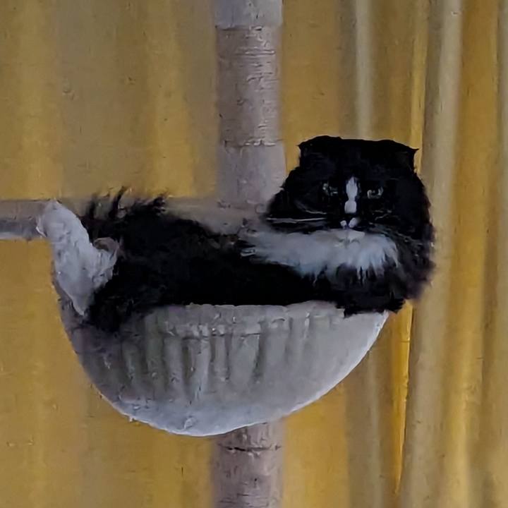 8357f726 914d 4ef3 bb48 f633707cd761 1705892047212