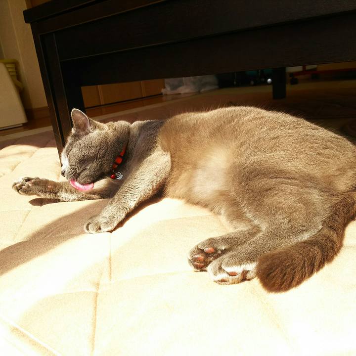 8358064b 6c54 4077 9d04 90c1dc2cdbb4 1522202571993