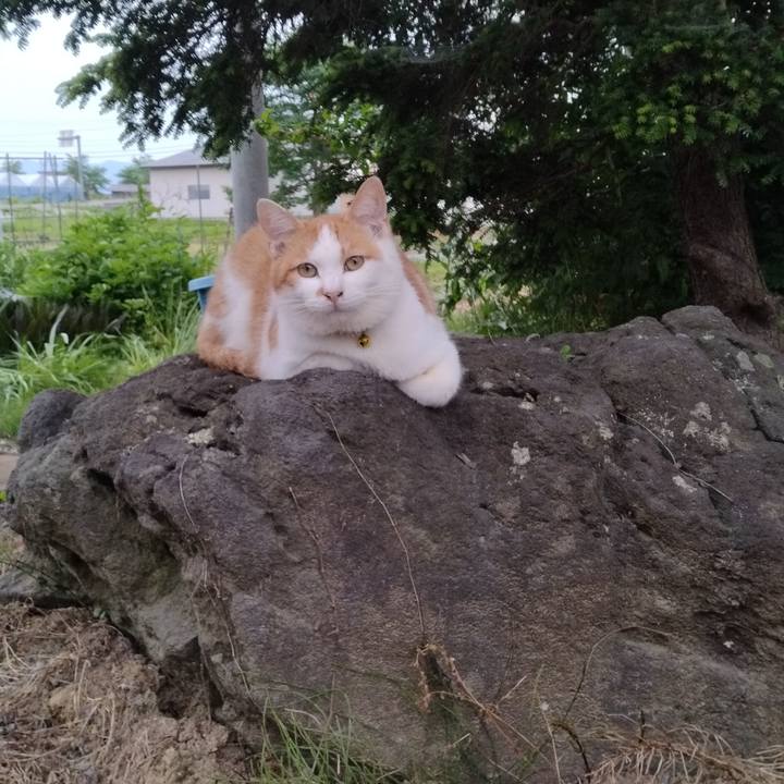 83587363 648b 471d 98e8 01f1a4d96975 1749463106978