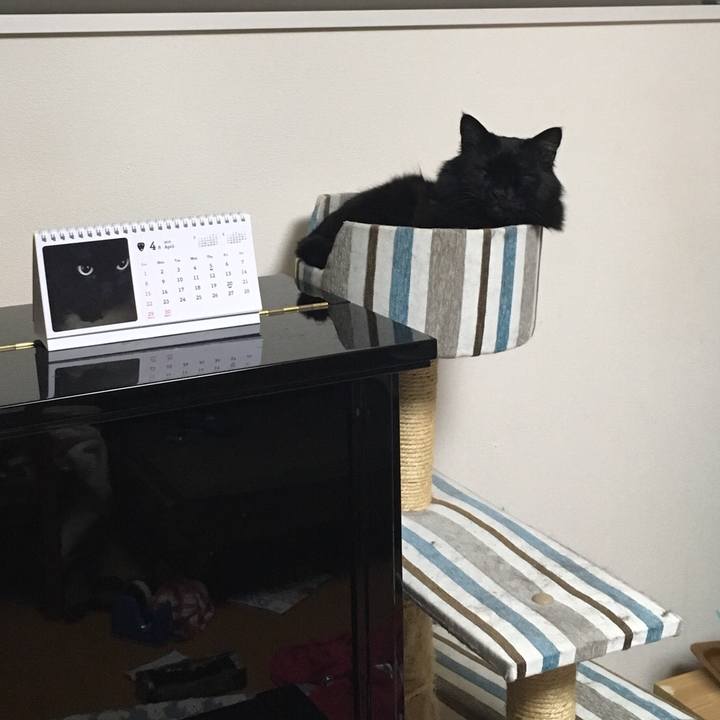 835890ed df1e 4b6e b92c 7068bd332328 1522768345688