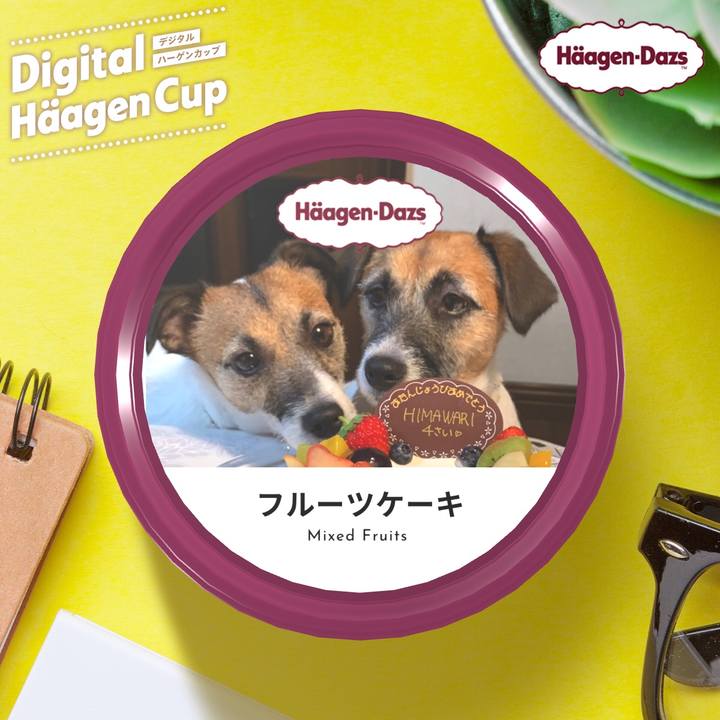 8358e84b 29b8 4332 8858 392c3c71c1d4 1607610464196