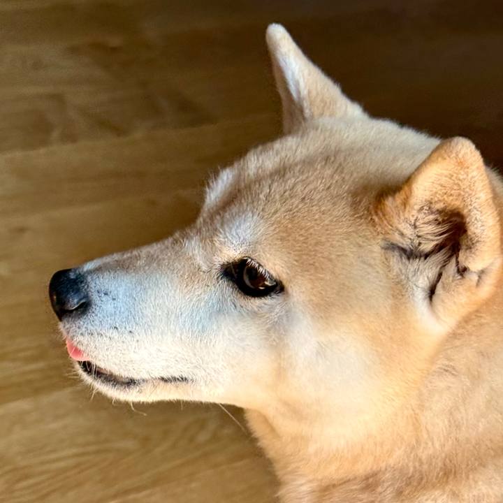 8359011b b143 4297 b210 da6e3ea8ac2c 1773885099780